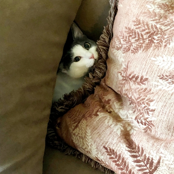 Keep an 👁 4 Sales! - Picture 7 of 8